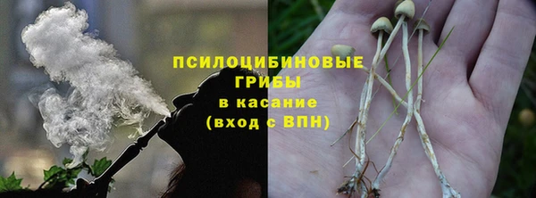 тгк Алексин