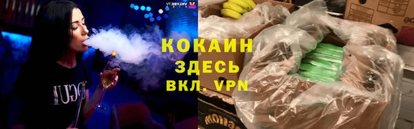 спайс Алзамай