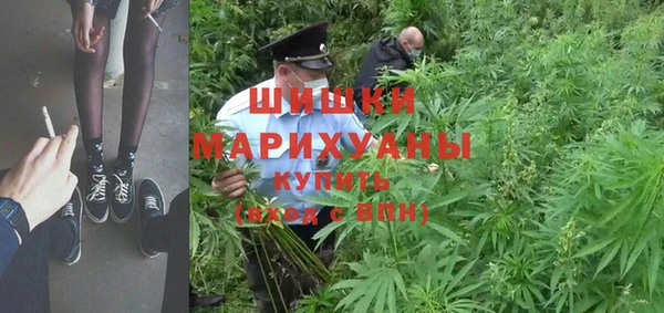 спайс Алзамай